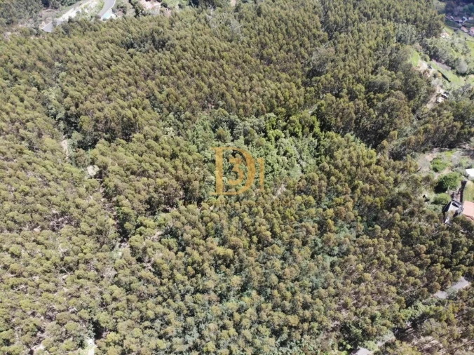 Terreno para Venda em Camacha Foto 3