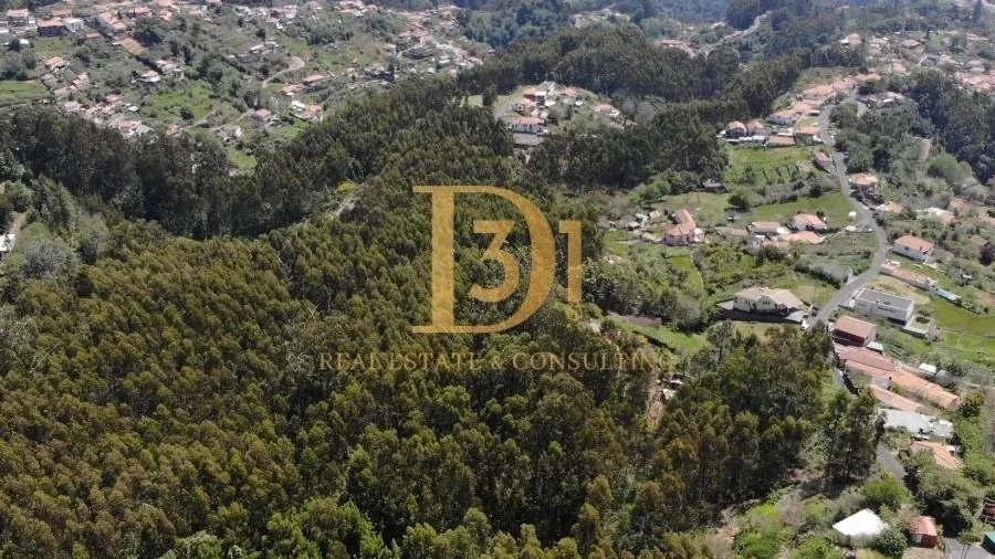 Terreno para Venda em Camacha