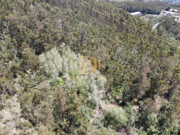 Terreno para Venda em Camacha