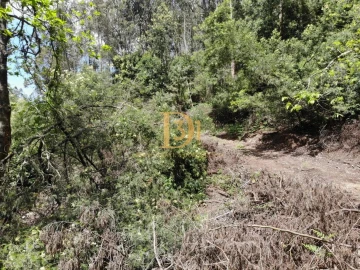 Terreno para Venda em Camacha