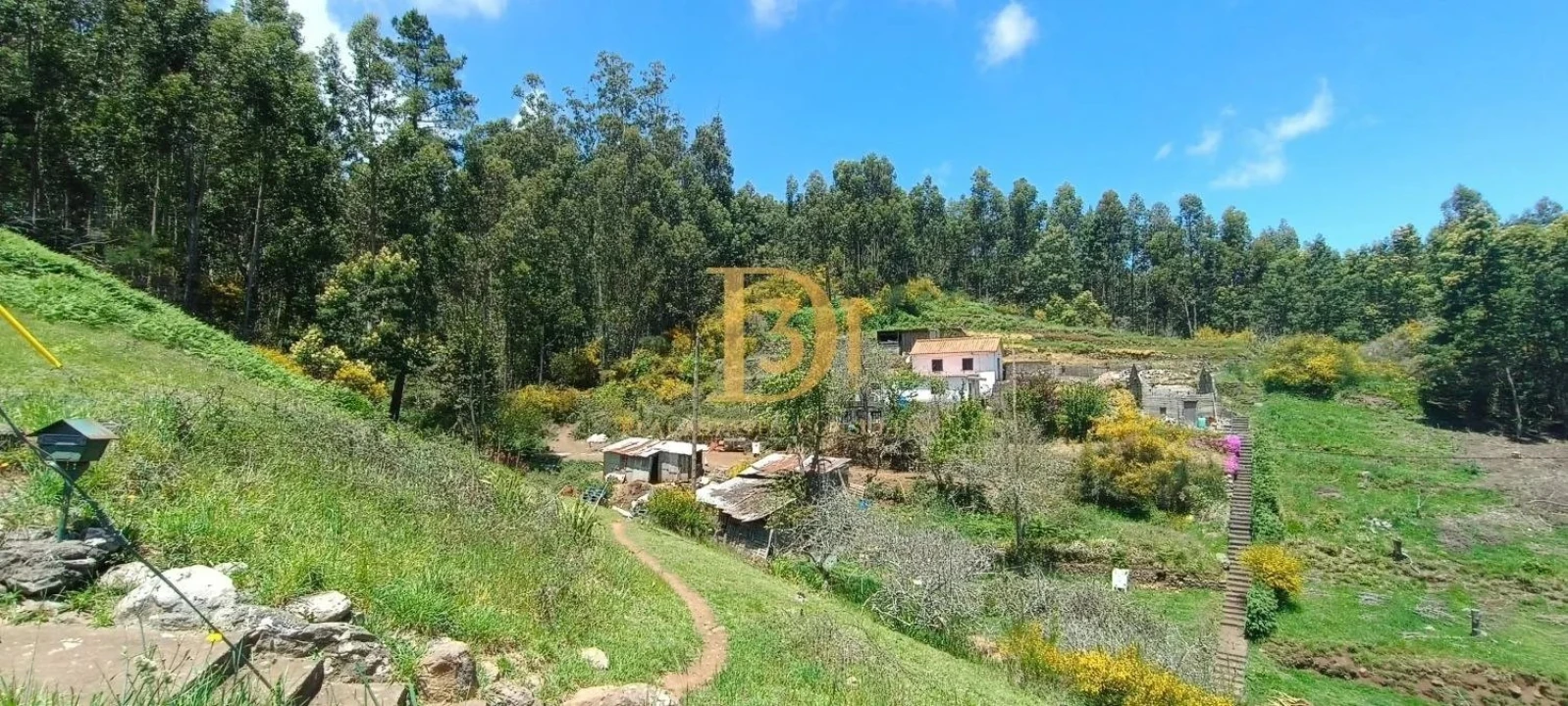 Terreno para Venda em Camacha Foto 2