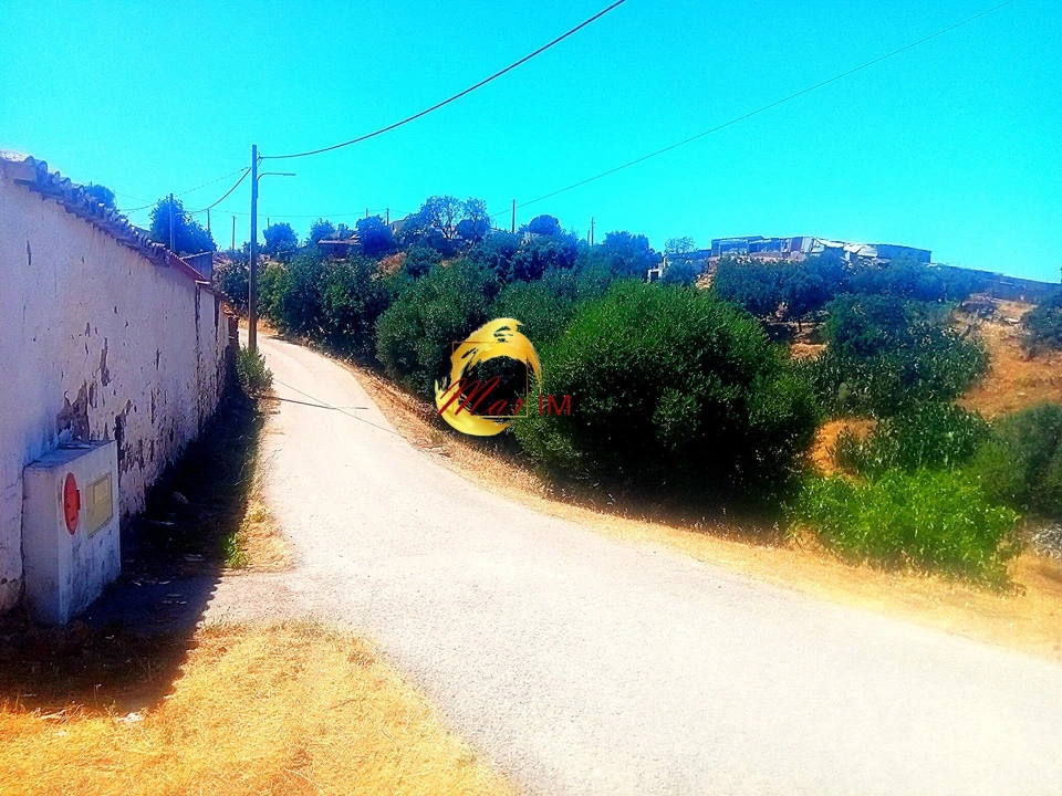 Moradia para Venda em Odeleite Foto 43