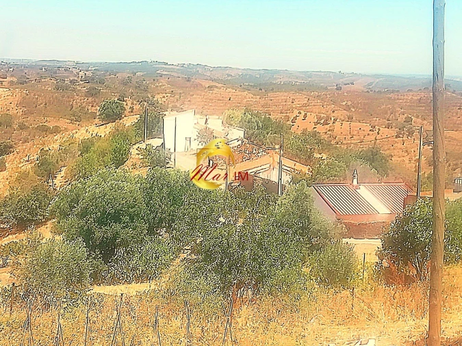 Moradia para Venda em Odeleite Foto 35
