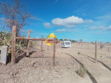 Terreno Agricola ou Rústico para Arrendamento em Azinhal