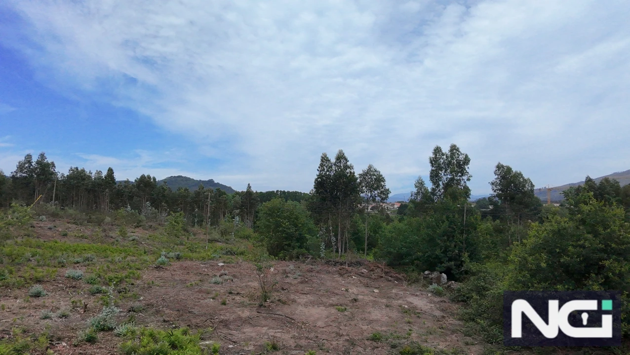 Terreno para Venda em Barco Foto 4