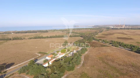 Terreno para Arrendamento em Sines