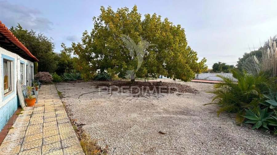 Terreno para Arrendamento em Sines Foto 7