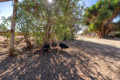 Moradia T3 para Venda em Faro (Sé e São Pedro)