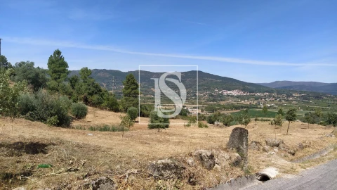 Terreno para Venda em Belmonte e Colmeal da Torre