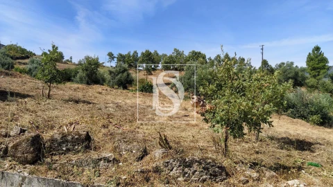 Terreno para Venda em Belmonte e Colmeal da Torre