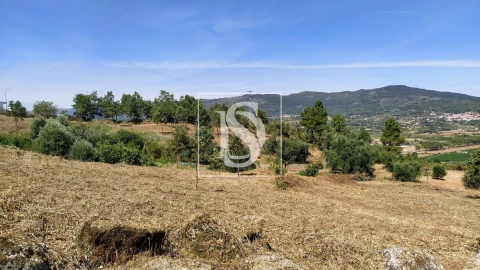 Terreno para Venda em Belmonte e Colmeal da Torre