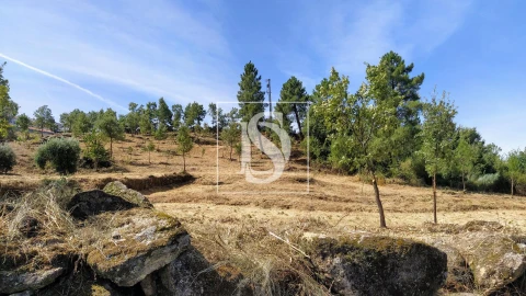 Terreno para Venda em Belmonte e Colmeal da Torre