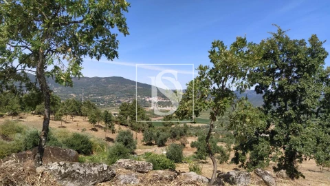 Terreno para Venda em Belmonte e Colmeal da Torre