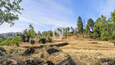Terreno para Venda em Belmonte e Colmeal da Torre