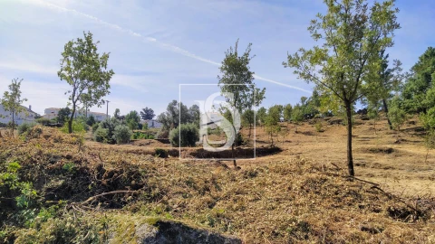Terreno para Venda em Belmonte e Colmeal da Torre