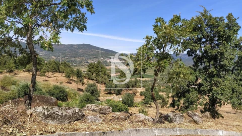 Terreno para Venda em Belmonte e Colmeal da Torre