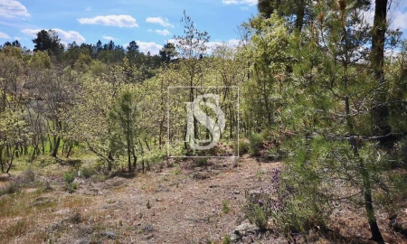 Terreno para Venda em Maçainhas