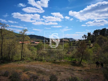 Terreno para Venda em Maçainhas
