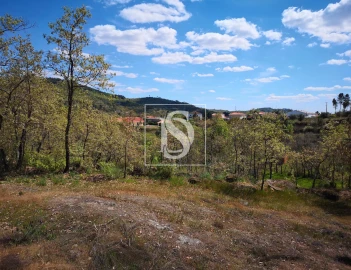 Terreno para Venda em Maçainhas