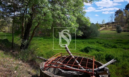 Terreno para Venda em Maçainhas