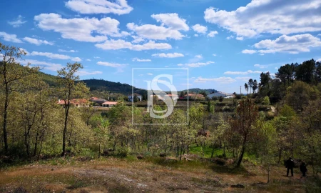 Terreno para Venda em Maçainhas