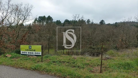 Terreno para Venda em Maçainhas