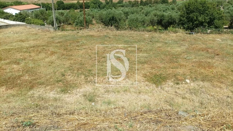 Terreno para Venda em Caria