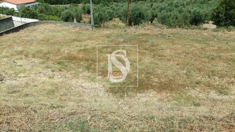 Terreno para Venda em Caria
