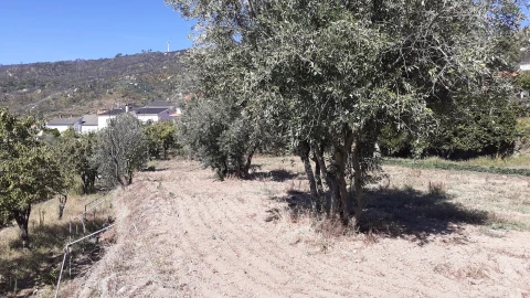 Terreno para Venda em Gonçalo