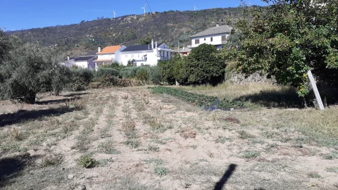 Terreno para Venda em Gonçalo