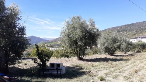 Terreno para Venda em Gonçalo