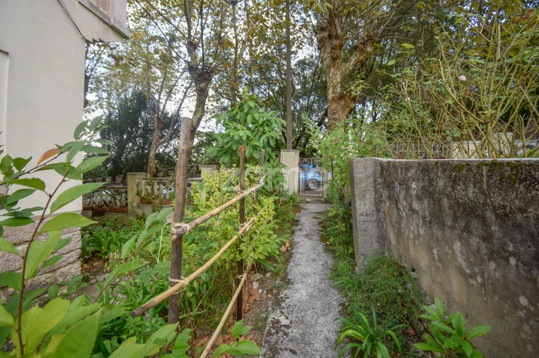 Prédio para Venda em Santa Maria e São Miguel, São Martinho, São Pedro Penaferrim Foto 3