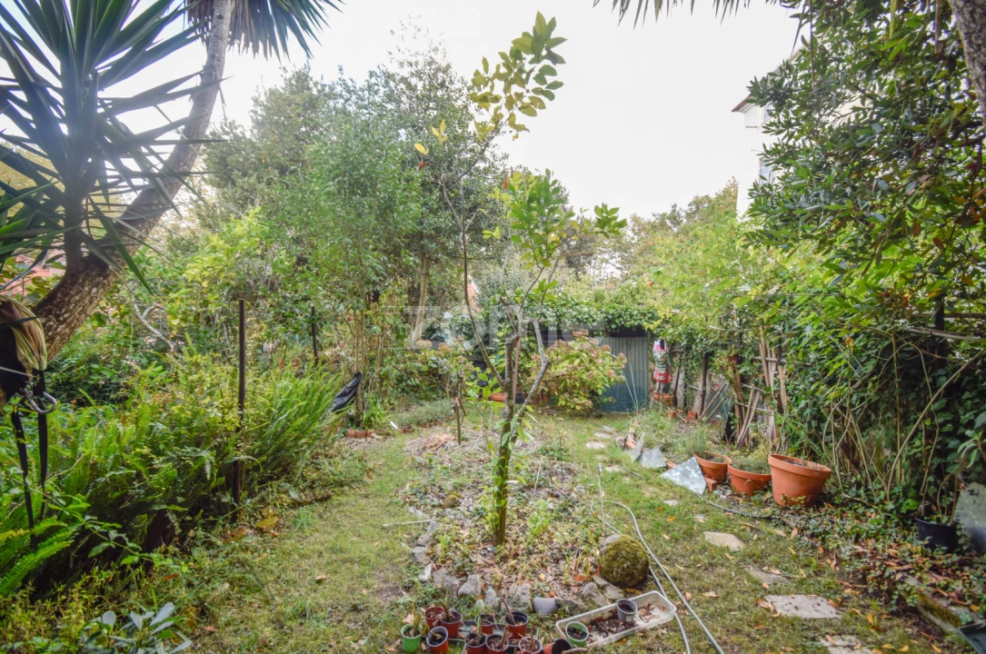 Prédio para Venda em Santa Maria e São Miguel, São Martinho, São Pedro Penaferrim Foto 22