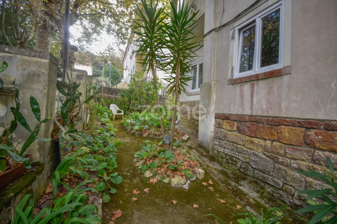 Prédio para Venda em Santa Maria e São Miguel, São Martinho, São Pedro Penaferrim Foto 5