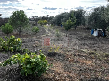 Moradia T1 para Venda em Santa Cruz
