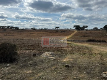 Moradia T1 para Venda em Santa Cruz