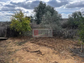 Moradia T1 para Venda em Santa Cruz