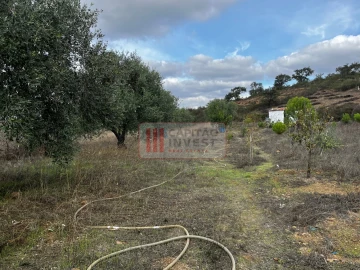 Moradia T1 para Venda em Santa Cruz