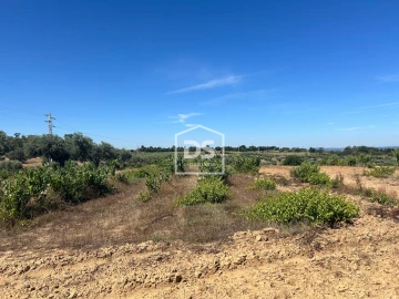 Terreno para Venda em Ladoeiro