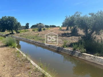 Terreno para Venda em Ladoeiro