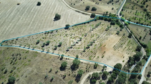 Terreno para Venda em Ladoeiro