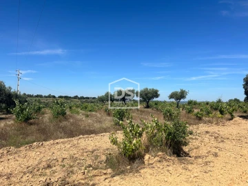 Terreno para Venda em Ladoeiro