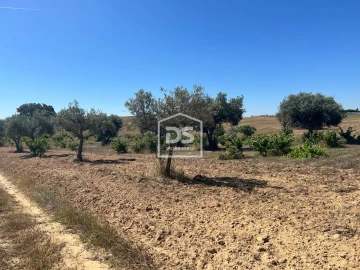 Terreno para Venda em Ladoeiro