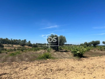Terreno para Venda em Ladoeiro