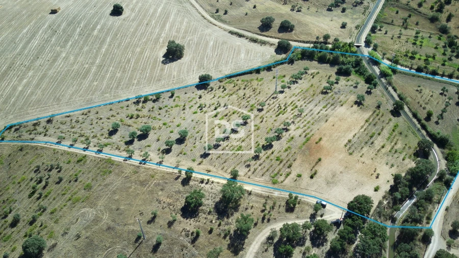Terreno para Venda em Ladoeiro