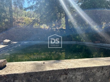 Terreno para Venda em Monforte da Beira