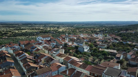 Terreno para Venda em Monforte da Beira