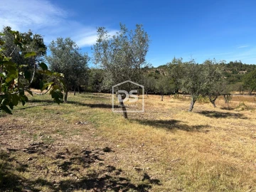 Terreno para Venda em Monforte da Beira
