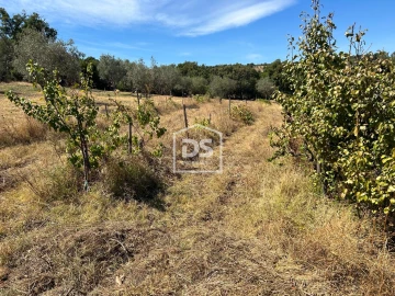 Terreno para Venda em Monforte da Beira
