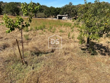 Terreno para Venda em Monforte da Beira